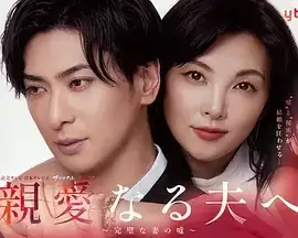 电视剧《致亲爱的丈夫~完美妻子的谎言~》剧情介绍