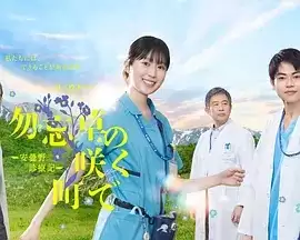 电视剧《在勿忘草盛开的城镇～安昙野诊疗记～》
