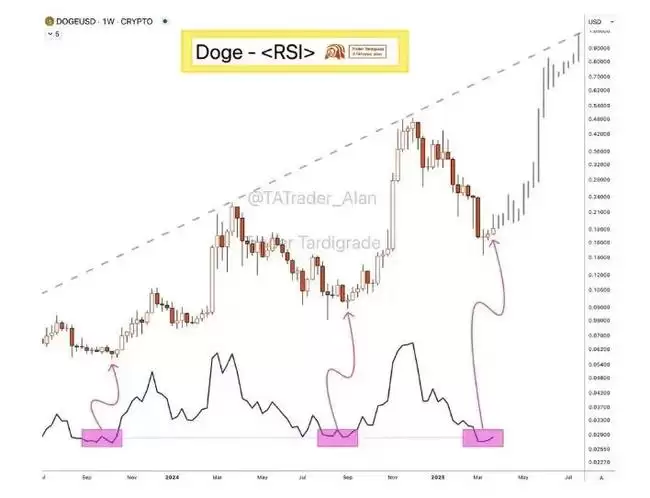 马斯克辟谣DOGE传闻:狗狗币抄底机会何在？