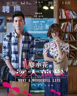 电视剧《赛小花的远大前程》剧情介绍