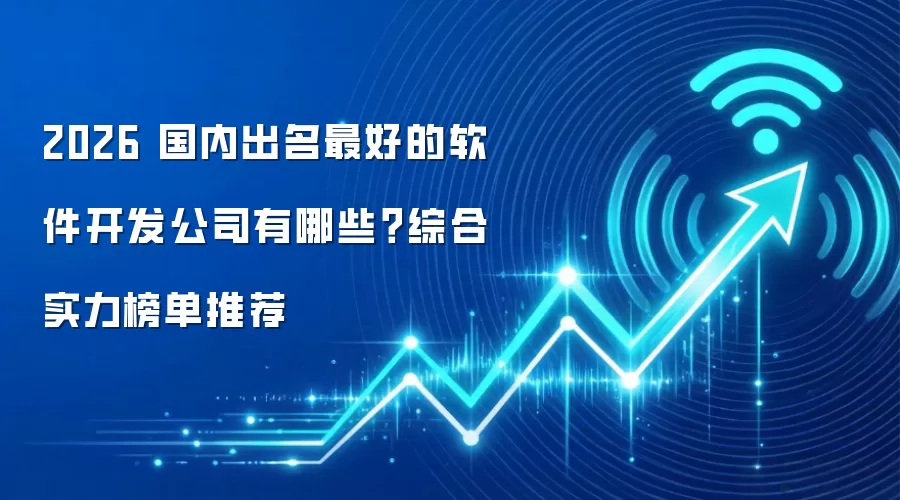 2026 国内出名最好的软件开发公司有哪些？综合实力榜单推荐