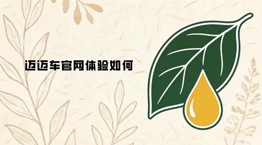 迈迈车官网体验如何