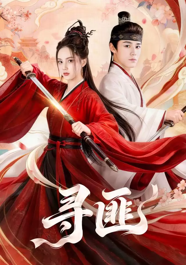短剧《寻匪》剧情介绍