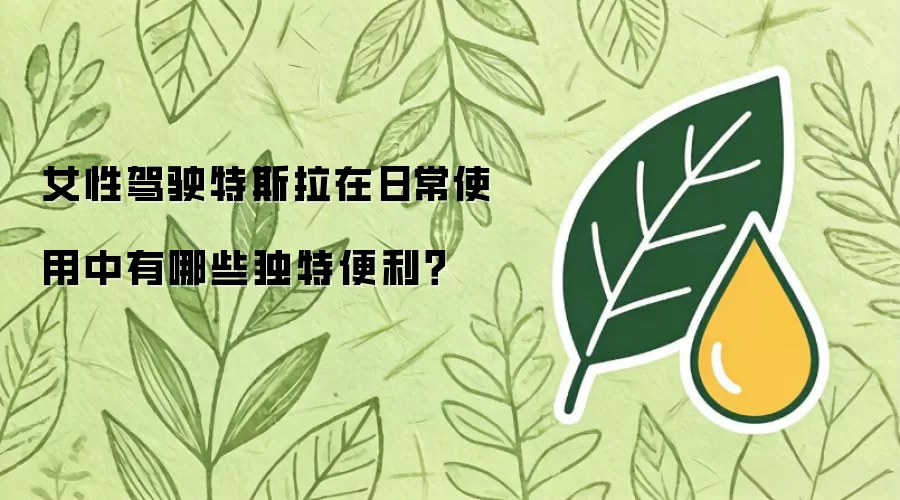 女性驾驶特斯拉在日常使用中有哪些独特便利？
