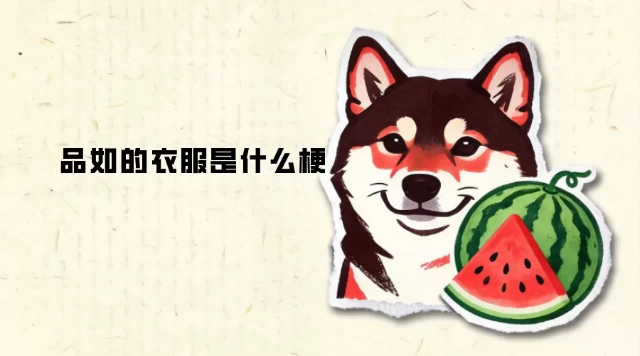 品如的衣服是什么梗