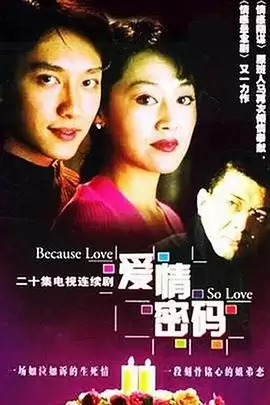 电视剧《爱情密码》剧情介绍