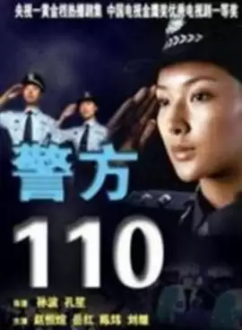 电视剧《警方110》剧情介绍