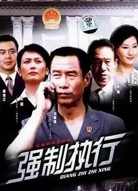 电视剧《强制执行》剧情介绍