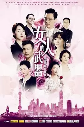 电视剧《女人的武器》剧情介绍