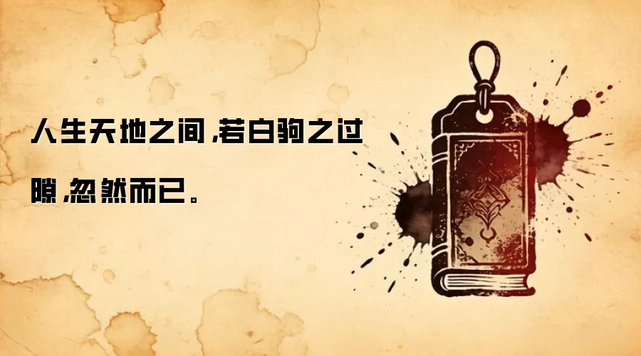 人生天地之间，若白驹之过隙，忽然而已。