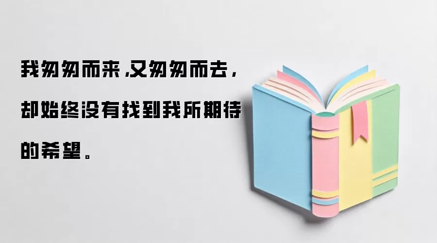 我匆匆而来，又匆匆而去，却始终没有找到我所期待的希望。