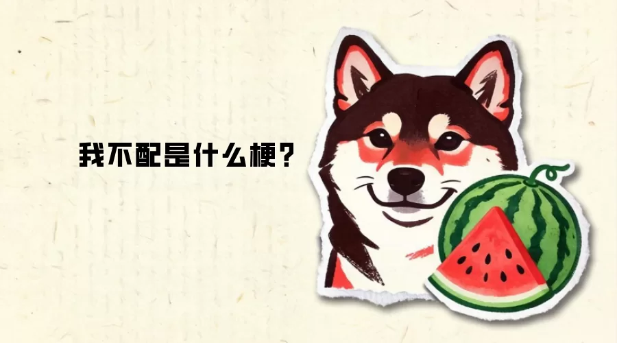 我不配是什么梗？