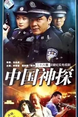 电视剧《中国神探》剧情介绍