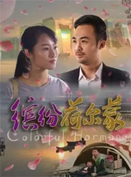电影《缤纷荷尔蒙》剧情介绍