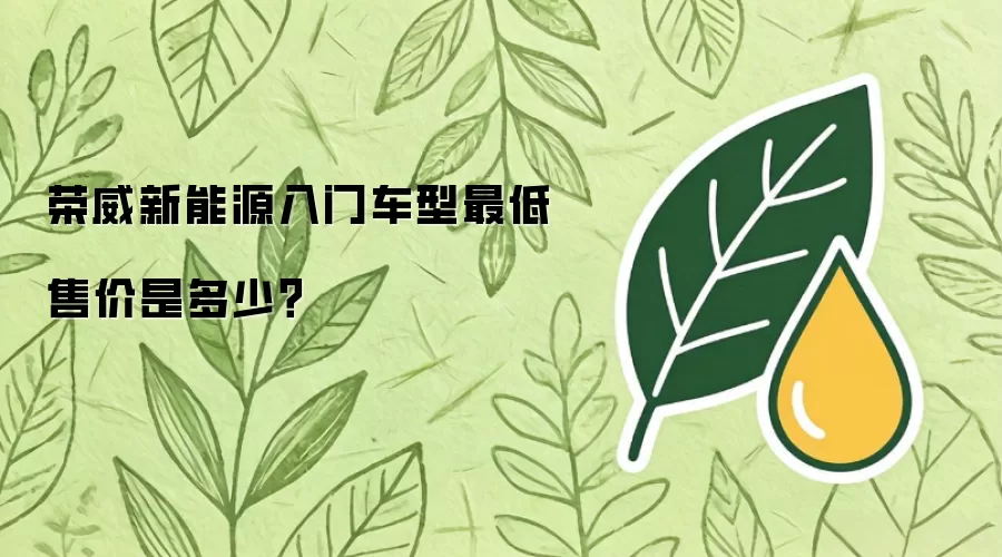 荣威新能源入门车型最低售价是多少？