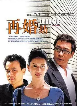 电视剧《再婚劫》剧情介绍
