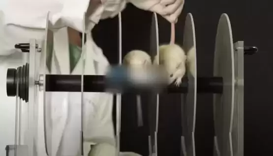 开创DeSci预测！Pump Science与Solana链Hedgehog Markets合推计划RODeo