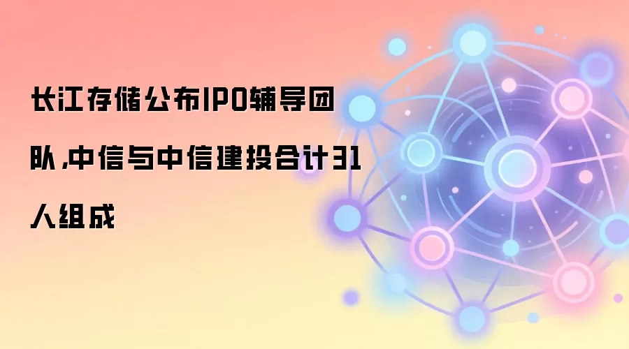 长江存储公布IPO辅导团队,中信与中信建投合计31人组成