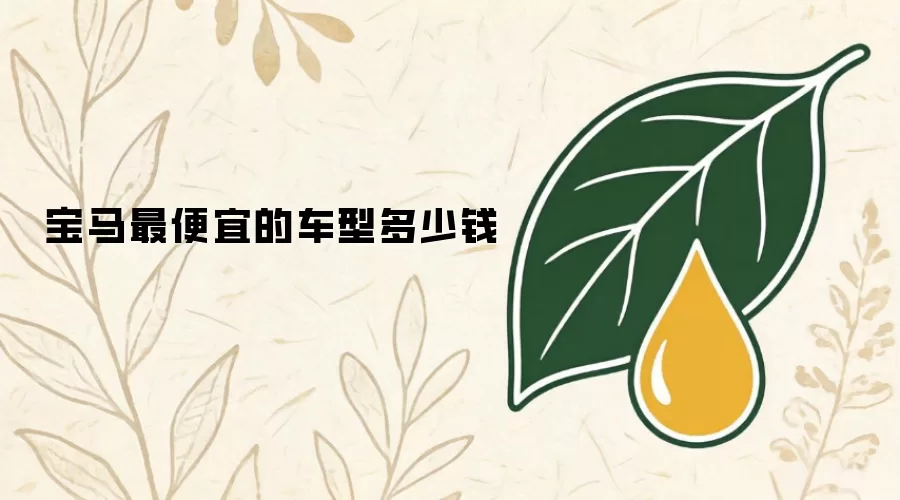 宝马最便宜的车型多少钱
