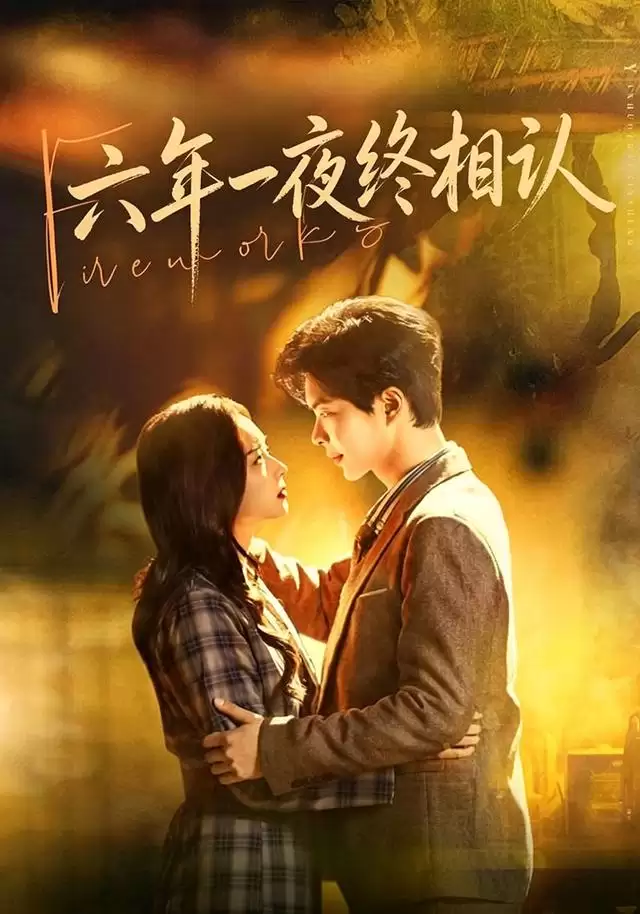 短剧《六年一夜终相认》剧情介绍