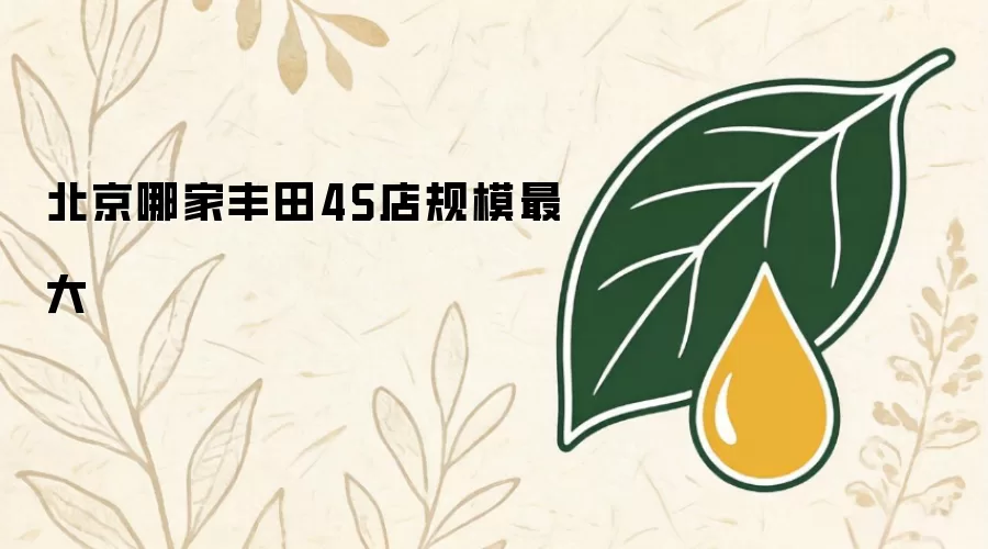 北京哪家丰田4S店规模最大
