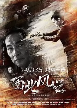 电影《西北风云》剧情介绍