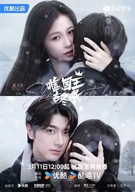 电视剧《嘘，国王在冬眠》剧情介绍