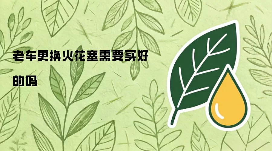 老车更换火花塞需要买好的吗