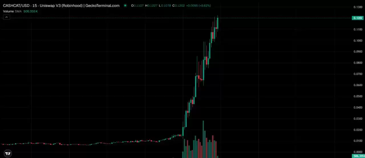 CASHCAT为何突然爆红?