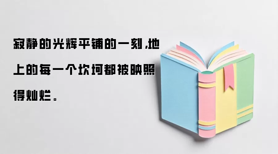 寂静的光辉平铺的一刻，地上的每一个坎坷都被映照得灿烂。