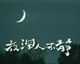 电视剧《夜深人不静》剧情介绍