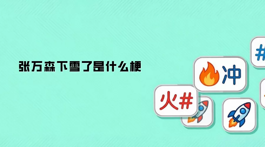 张万森下雪了是什么梗