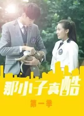 电视剧《那小子真酷第一季》剧情介绍