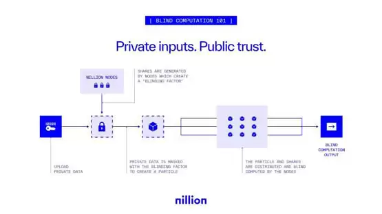 隐私区块链项目Nillion融资2500万美元！推动盲计算技术应用