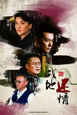 电视剧《战地迷情》剧情介绍