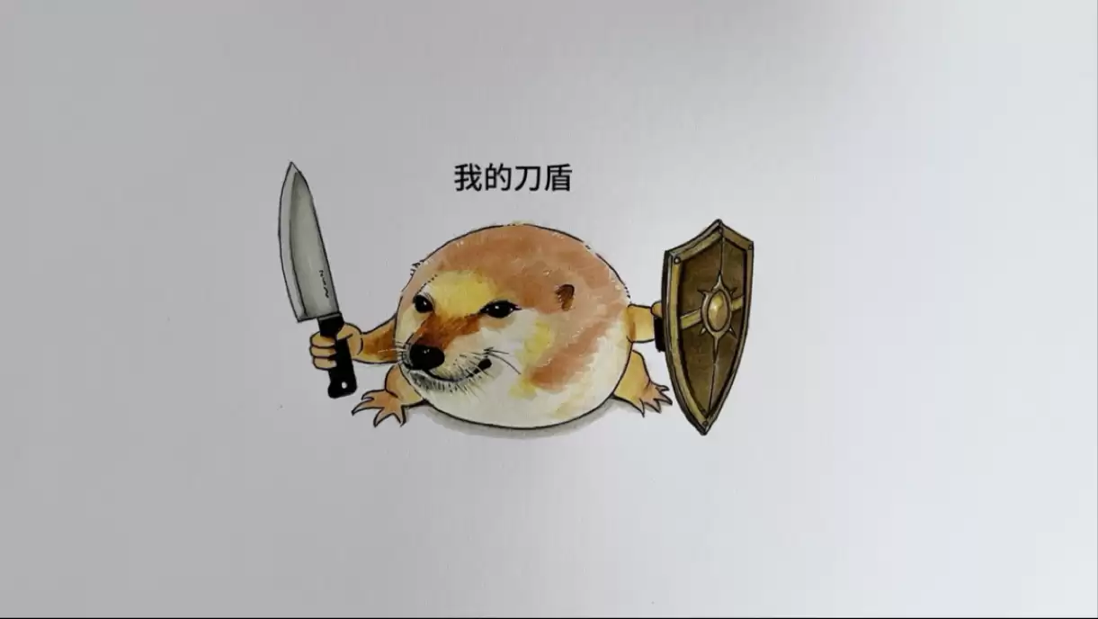 我的刀盾是什么梗?
