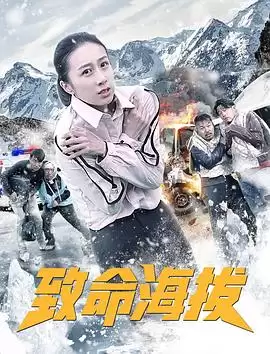 电影《致命海拔》剧情介绍
