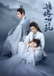 电视剧《错嫁世子妃》剧情介绍