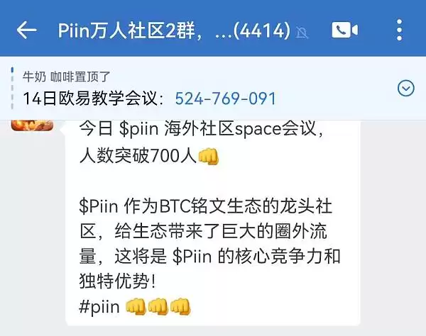 全面解读比特币铭文piin的叙事及潜力
