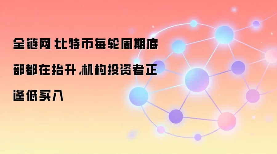 比特币每轮周期底部都在抬升,机构投资者正逢低买入