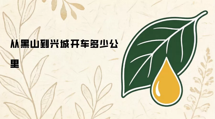 从黑山到兴城开车多少公里