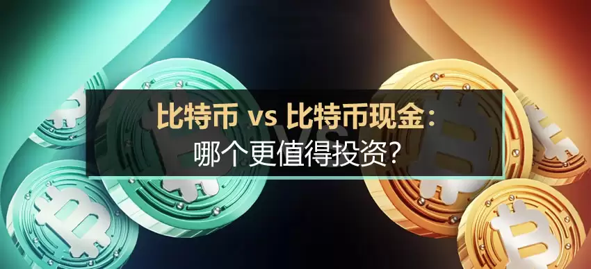 比特币 vs 比特币现金：哪个更值得投资？