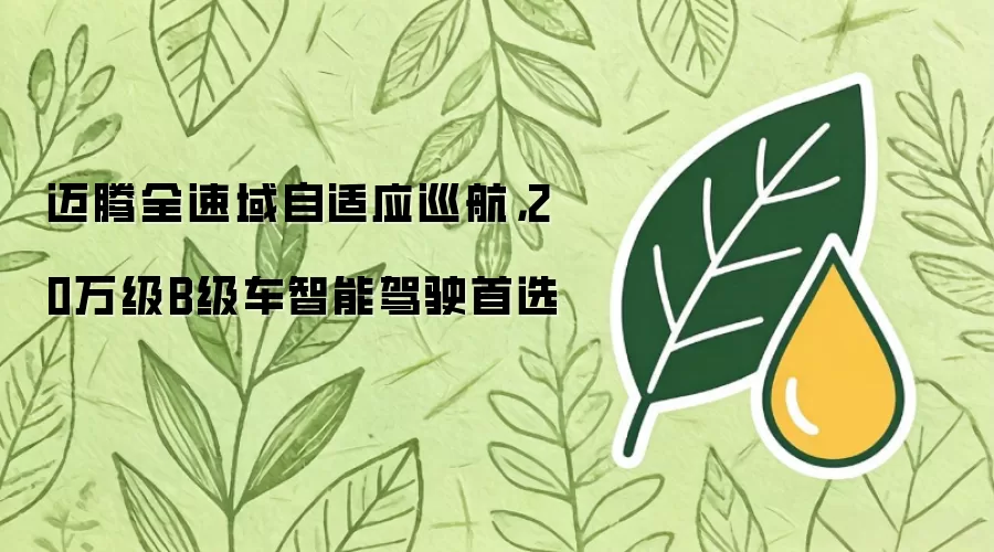 迈腾全速域自适应巡航，20万级B级车智能驾驶首选