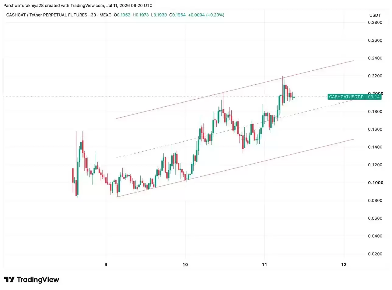 Cash Cat (CASHCAT)币价格预测:CASHCAT合约飙升355%,已经见顶?