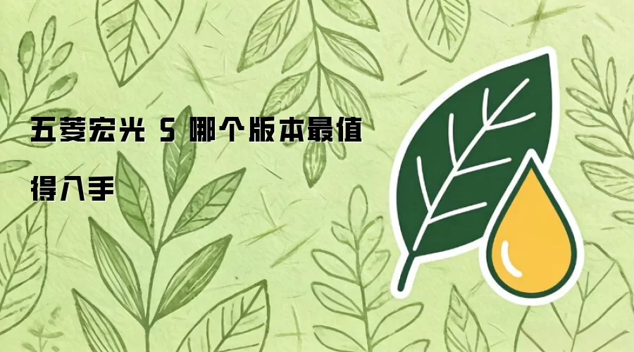 五菱宏光 S 哪个版本最值得入手