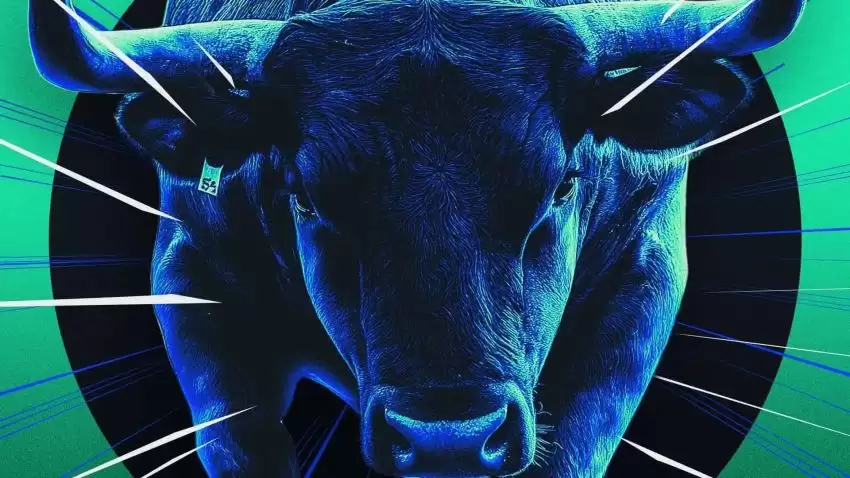 下一轮牛市的主战场在哪？答案就藏在这两类资产里