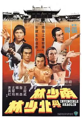 电影《南少林与北少林》剧情介绍
