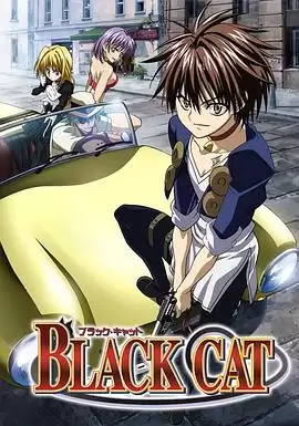 动漫《黑猫 BLACK CAT》剧情介绍