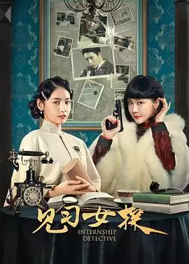 电视剧《见习女探》剧情介绍