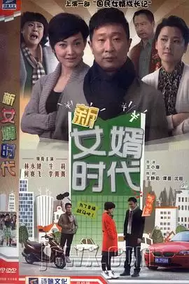 电视剧《新女婿时代》剧情介绍
